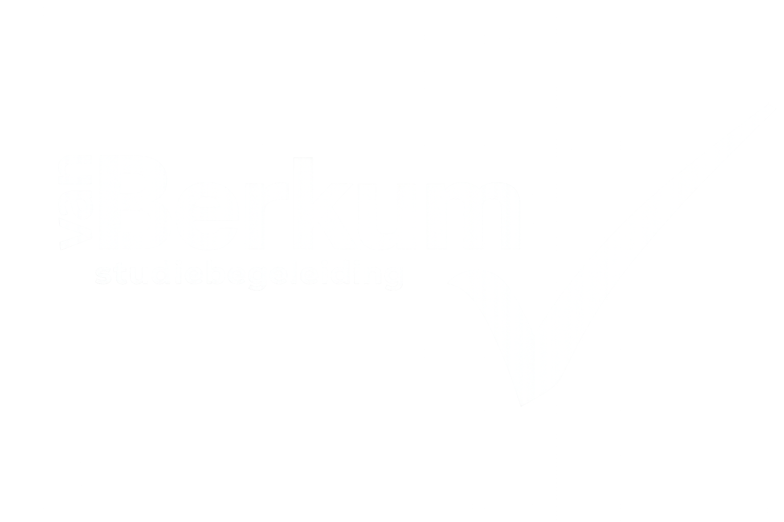 Van Berkum Studiebegeleiding